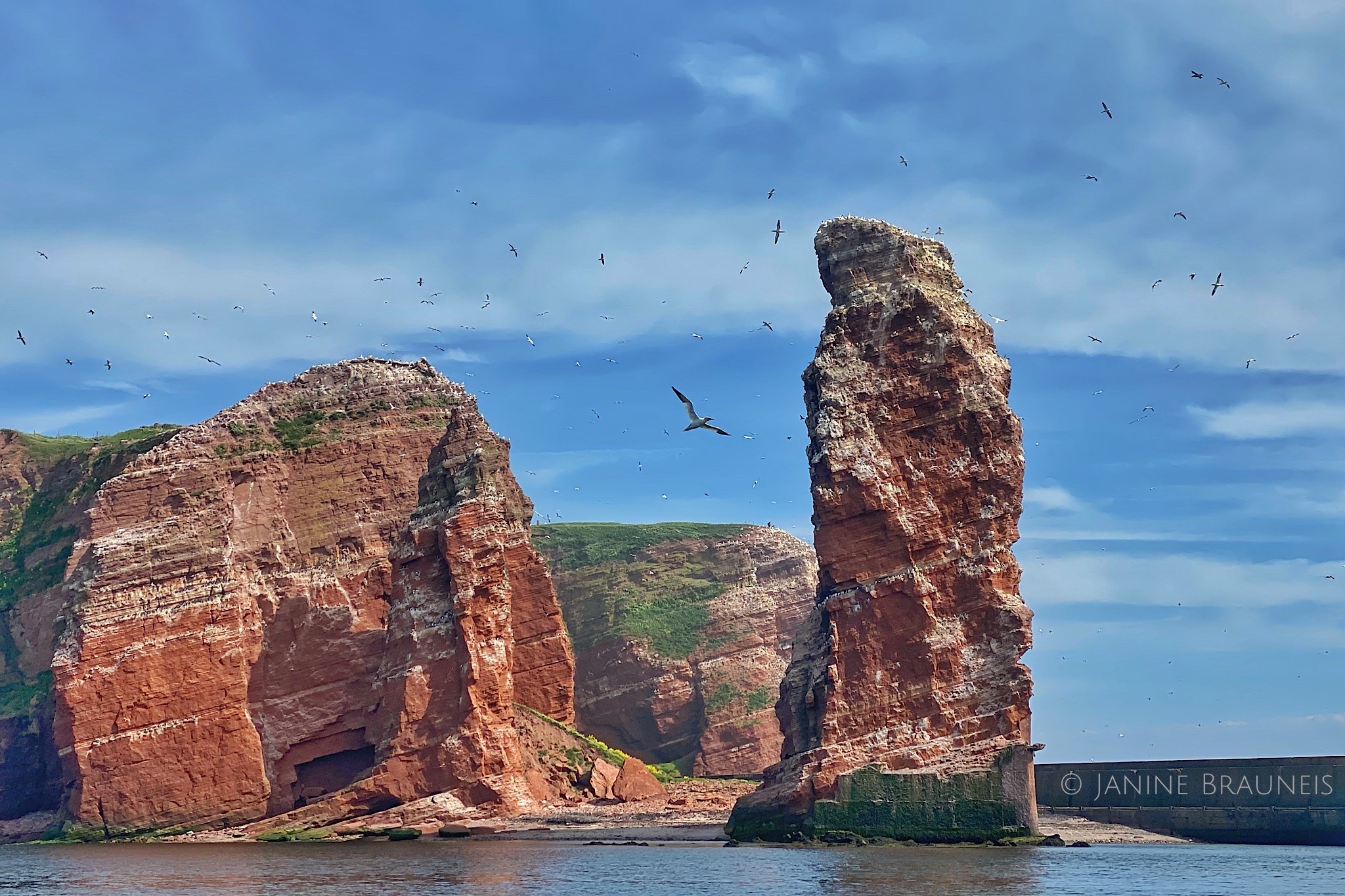 Fotokurs auf Helgoland - Seevögel, Robben, Landschaft