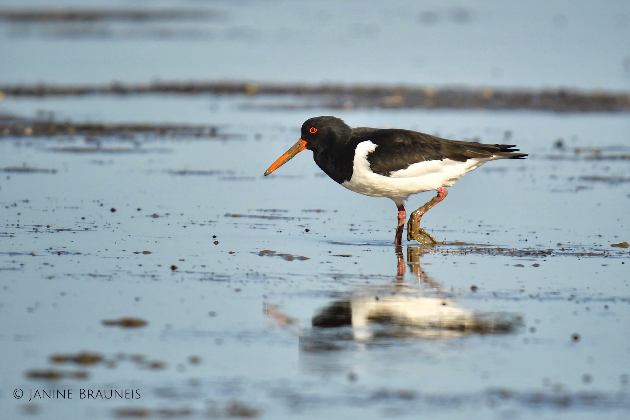 Fotokurs Gruppe "Natur" Sahlenburger Strand 